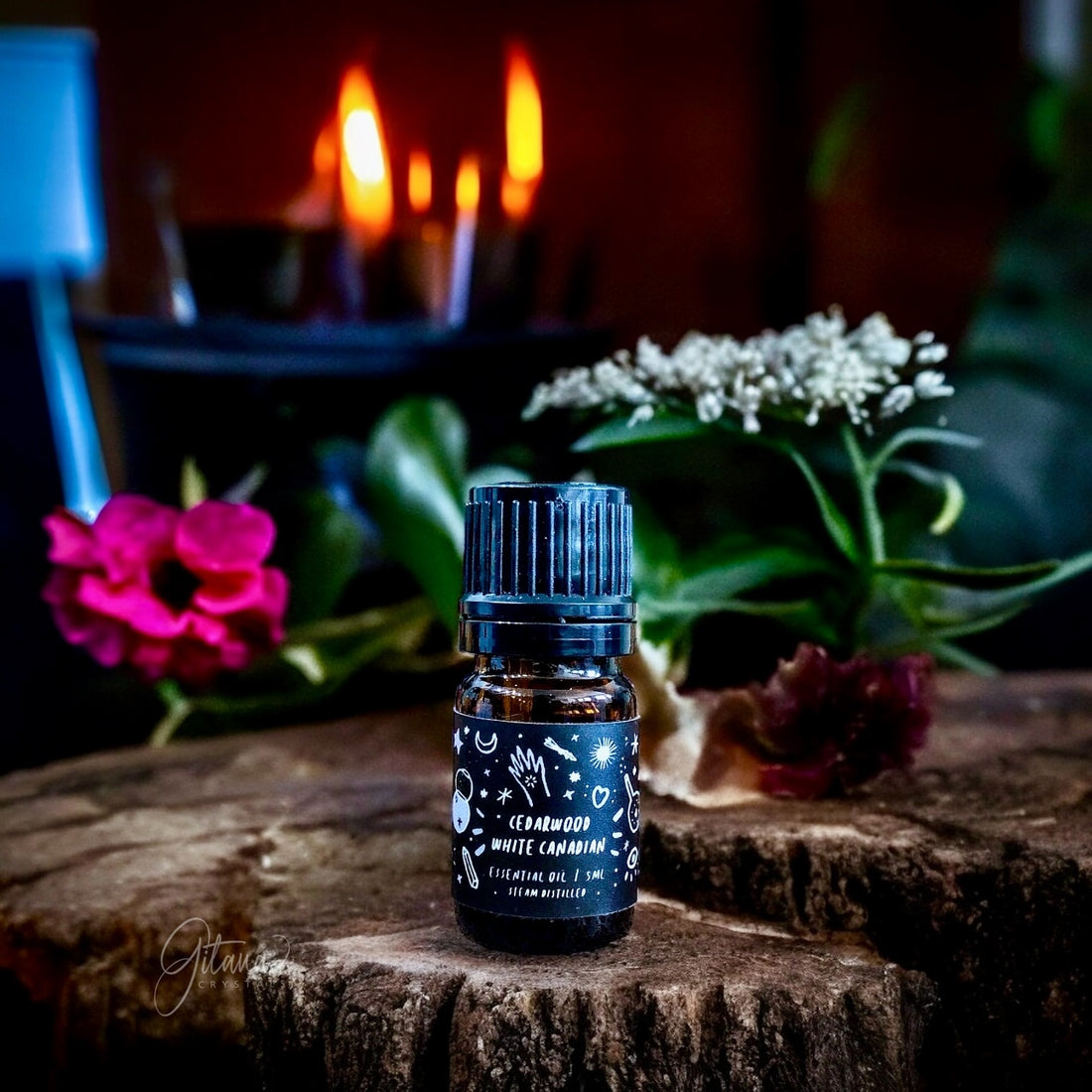 Essential Oil | Cedarwood - 5ml