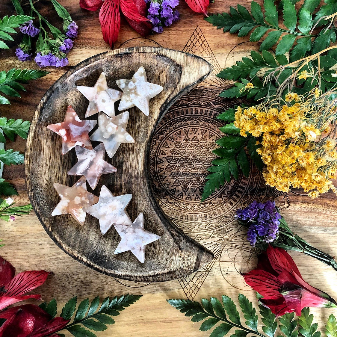 Flower Agate Star