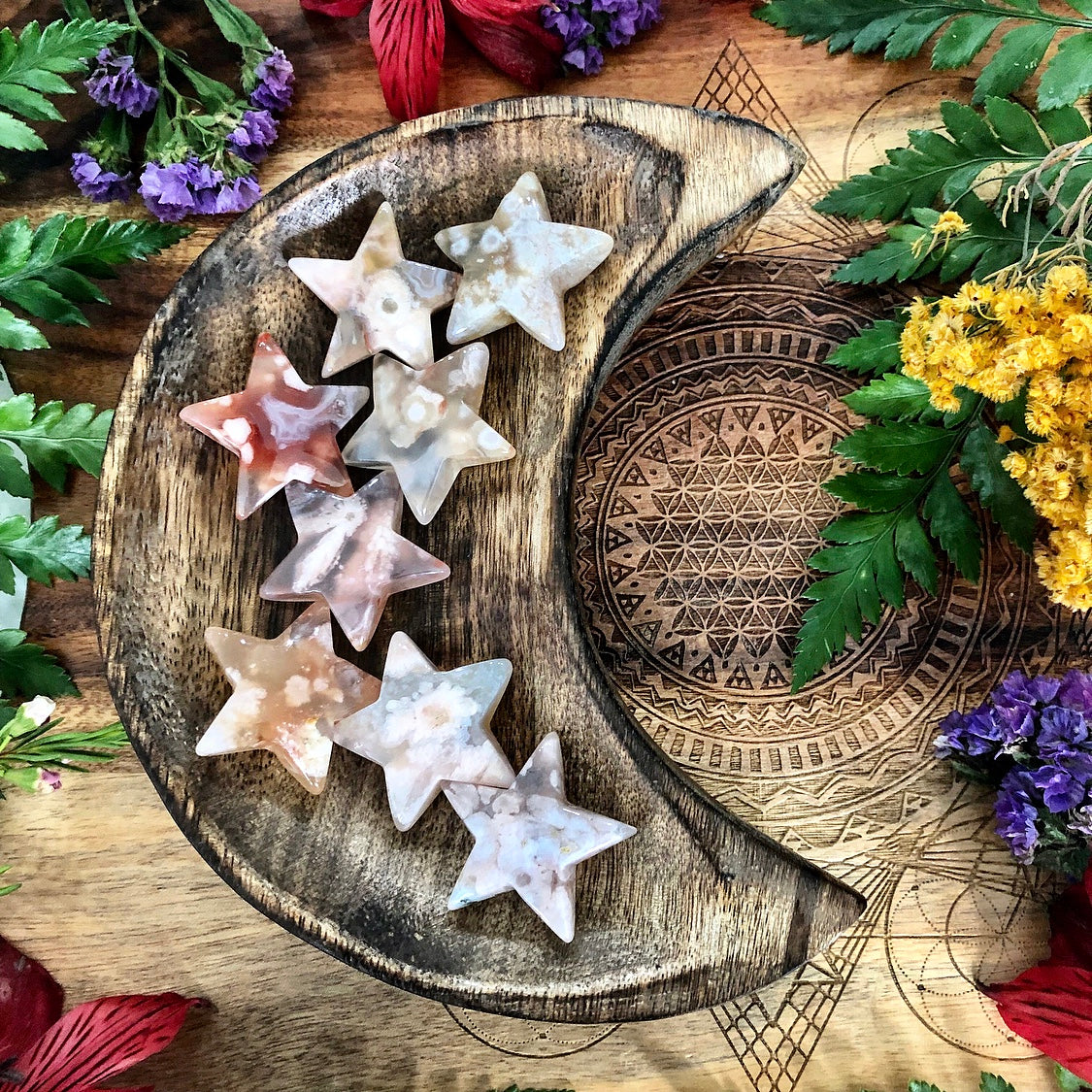 Flower Agate Star