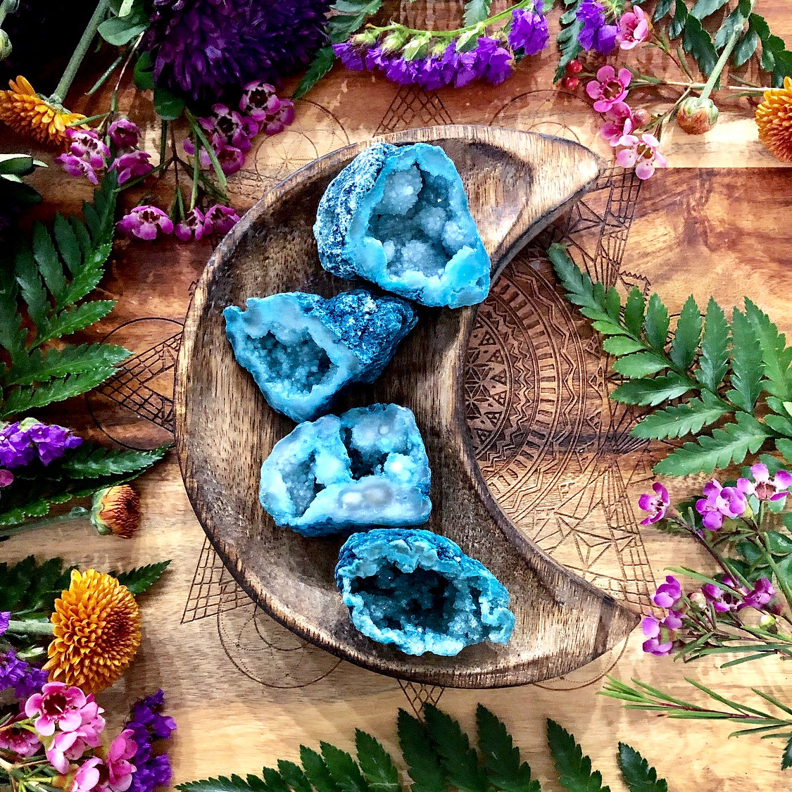 Agate Druzy Occos | Dragonfly Teal