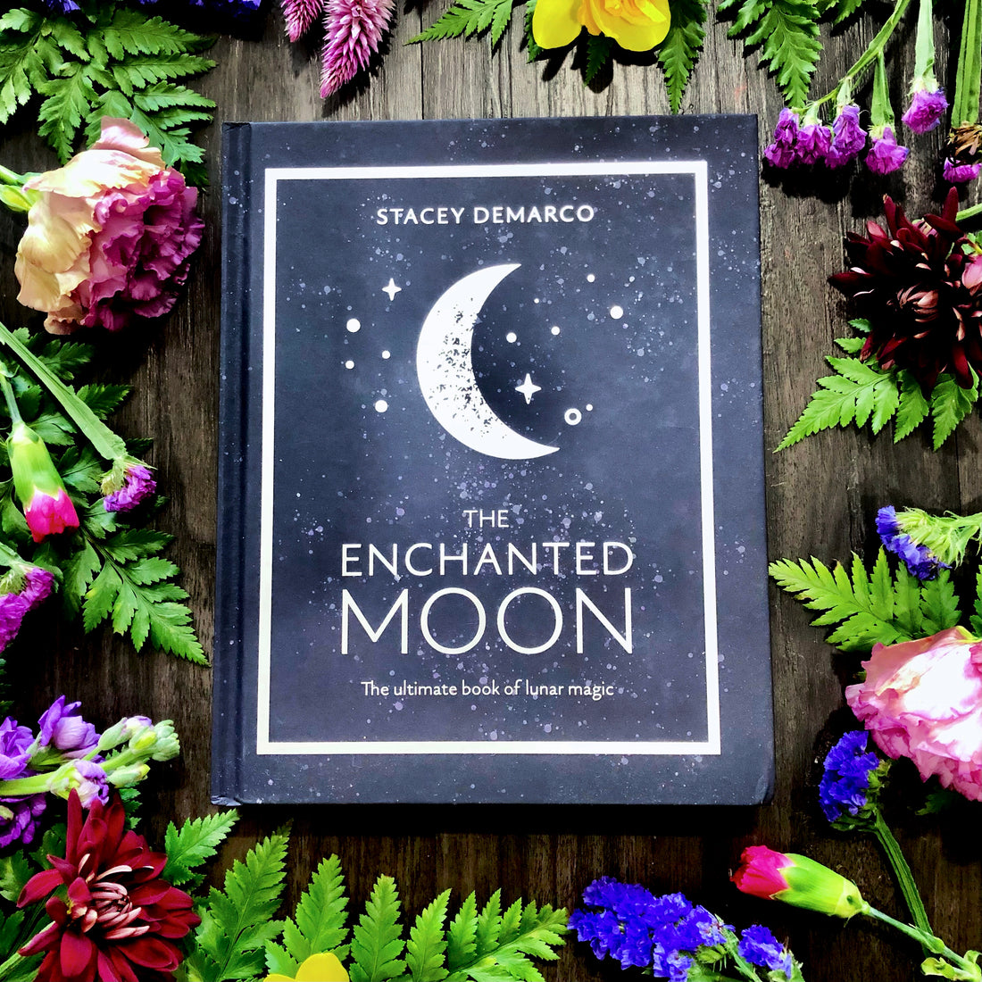 The Enchanted Moon
