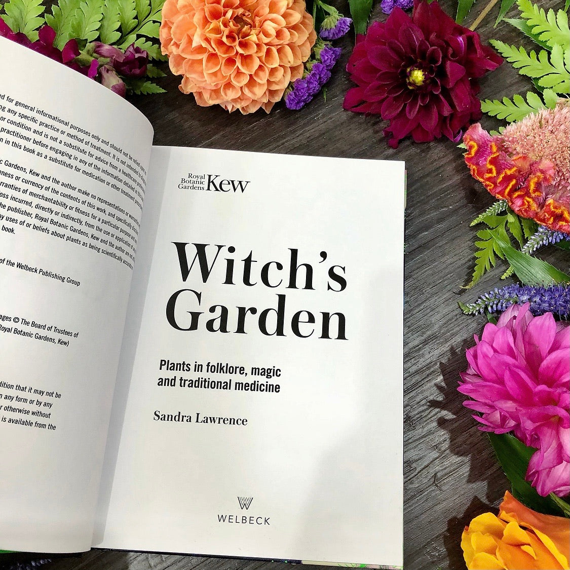 The Witch’s Garden