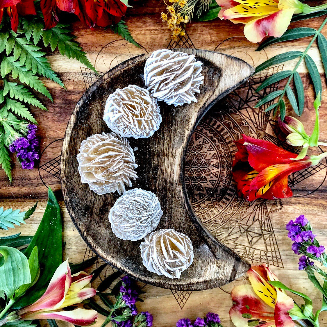 Gypsum Rose | Selenite Desert Rose ~ Medium