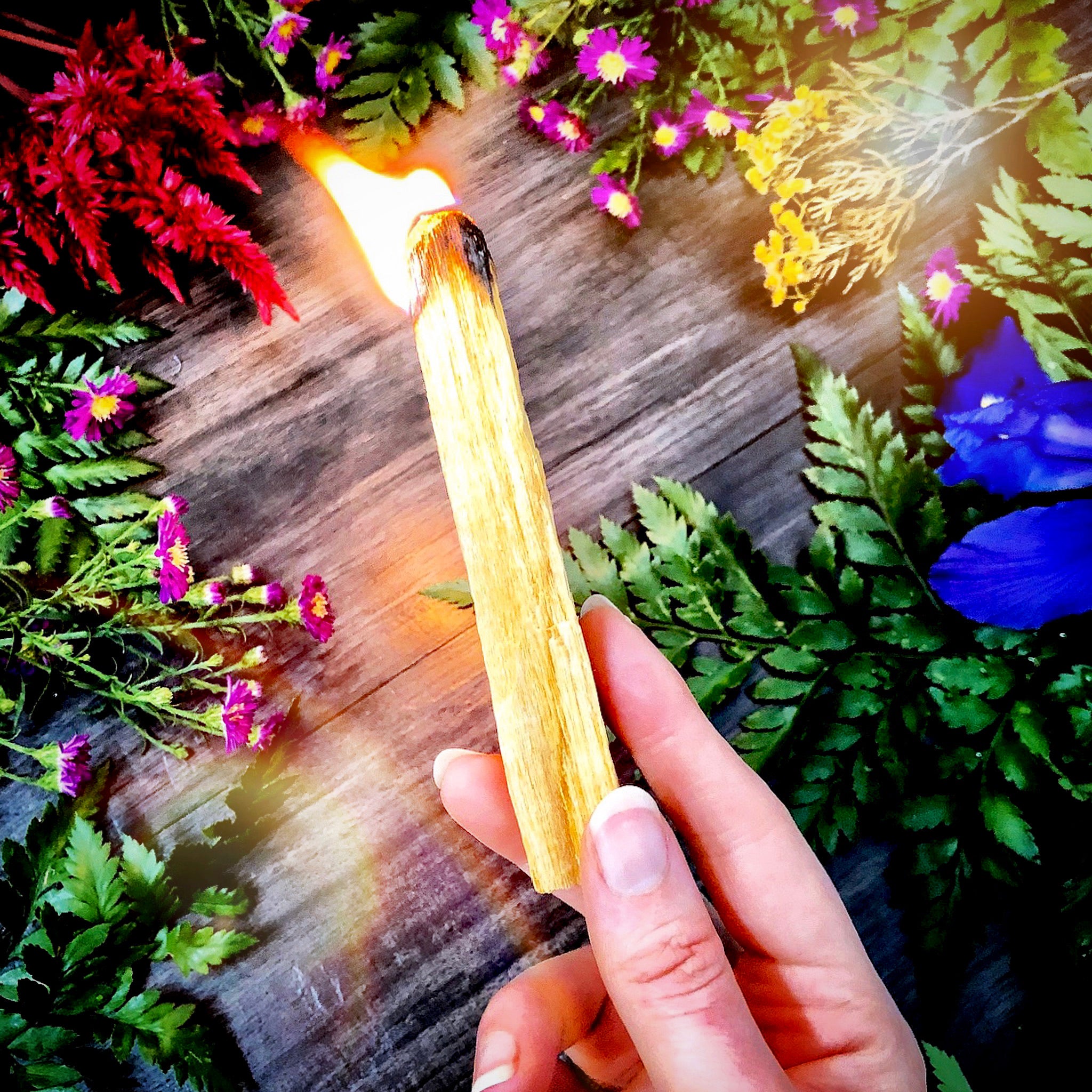 Palo Santo Stick